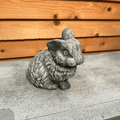 Rabbit with 1 Ear Up