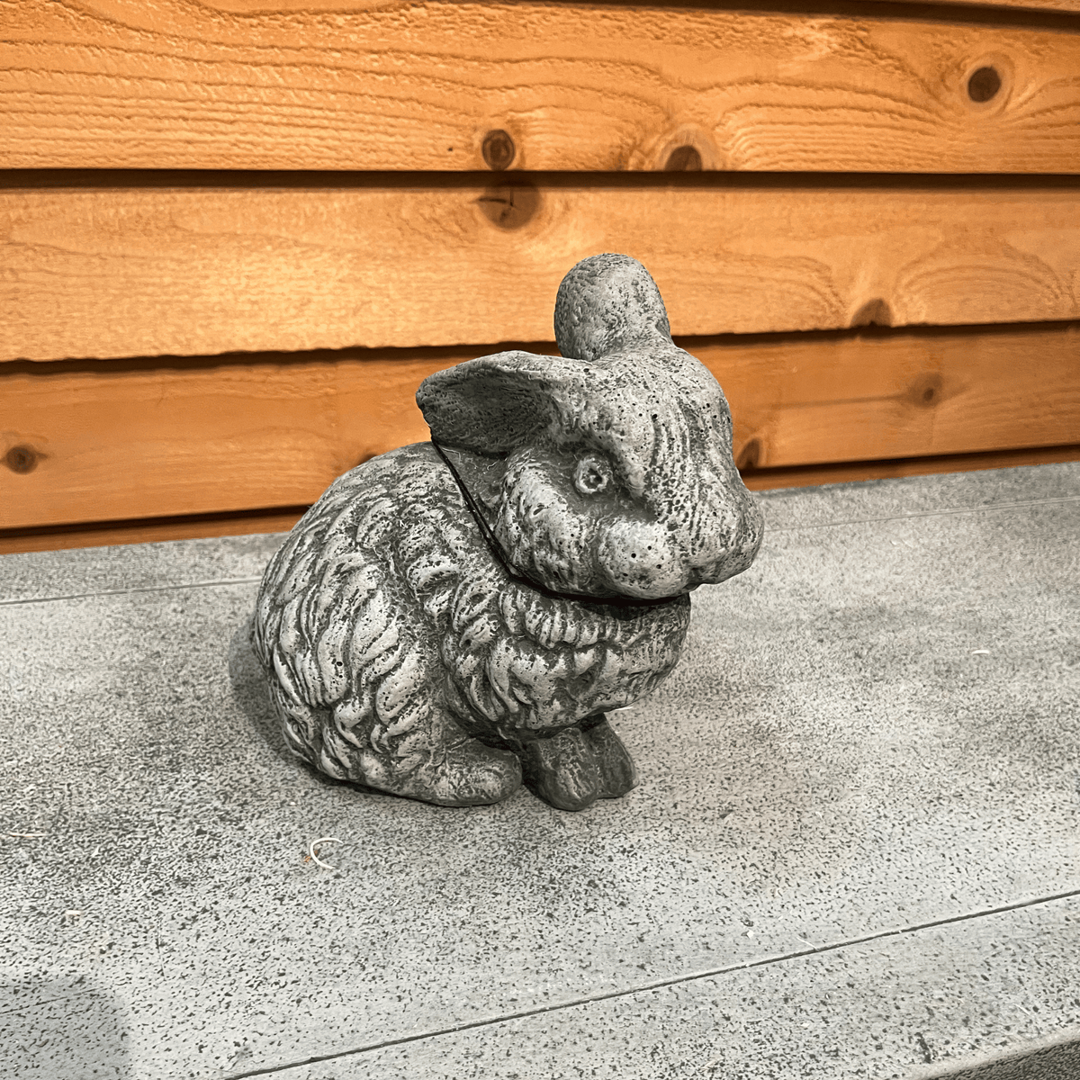 Rabbit with 1 Ear Up
