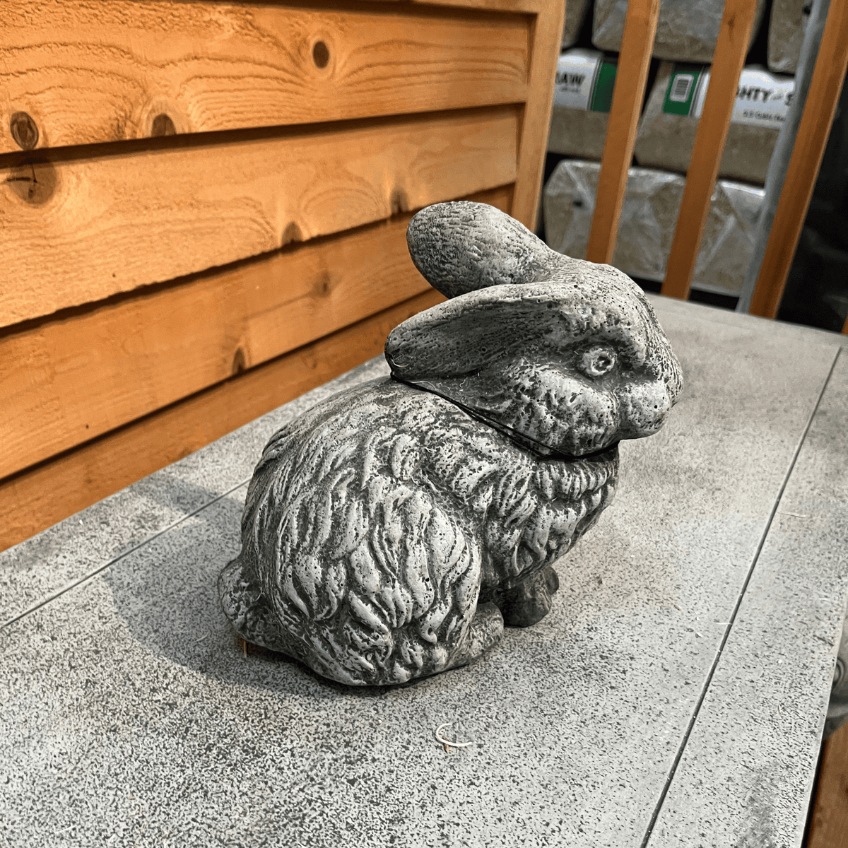 Rabbit with 1 Ear Up
