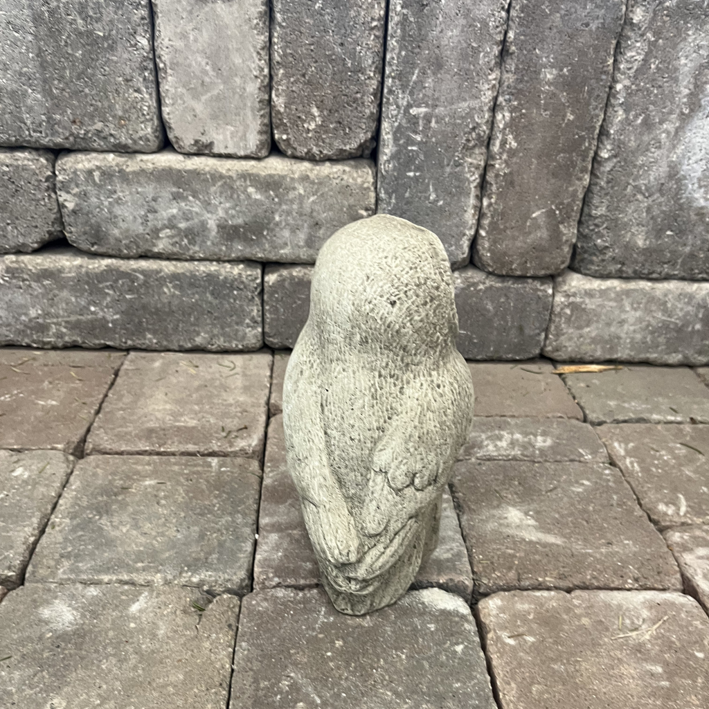 Al (owl)