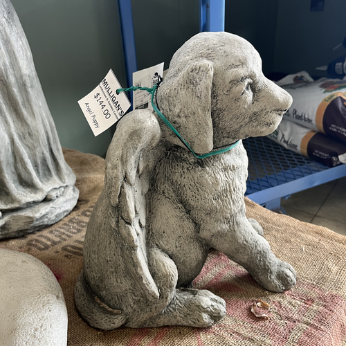 Angel Puppy