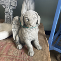 Angel Puppy