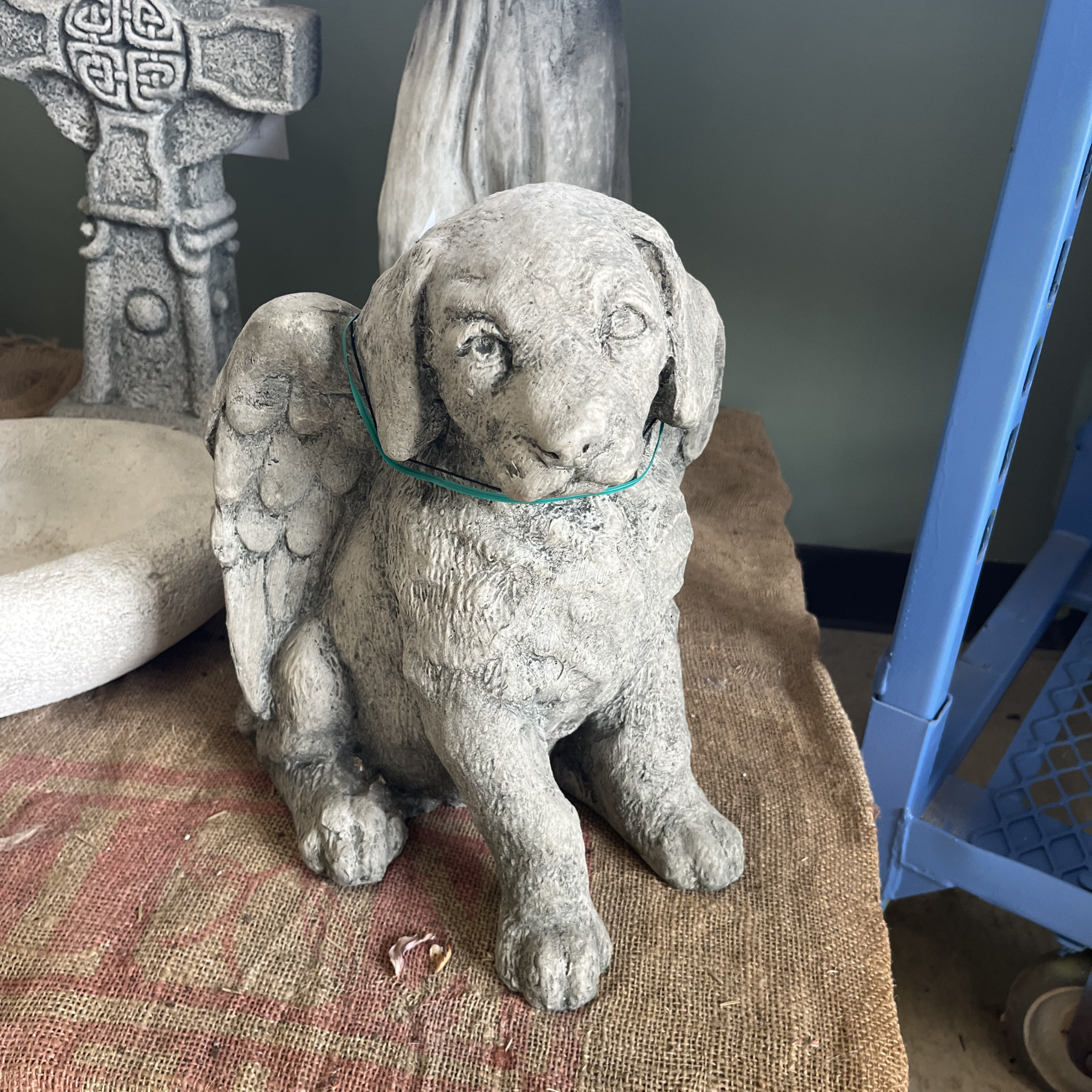 Angel Puppy