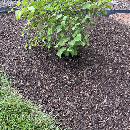 Bark Fines Mulch - cubic yard