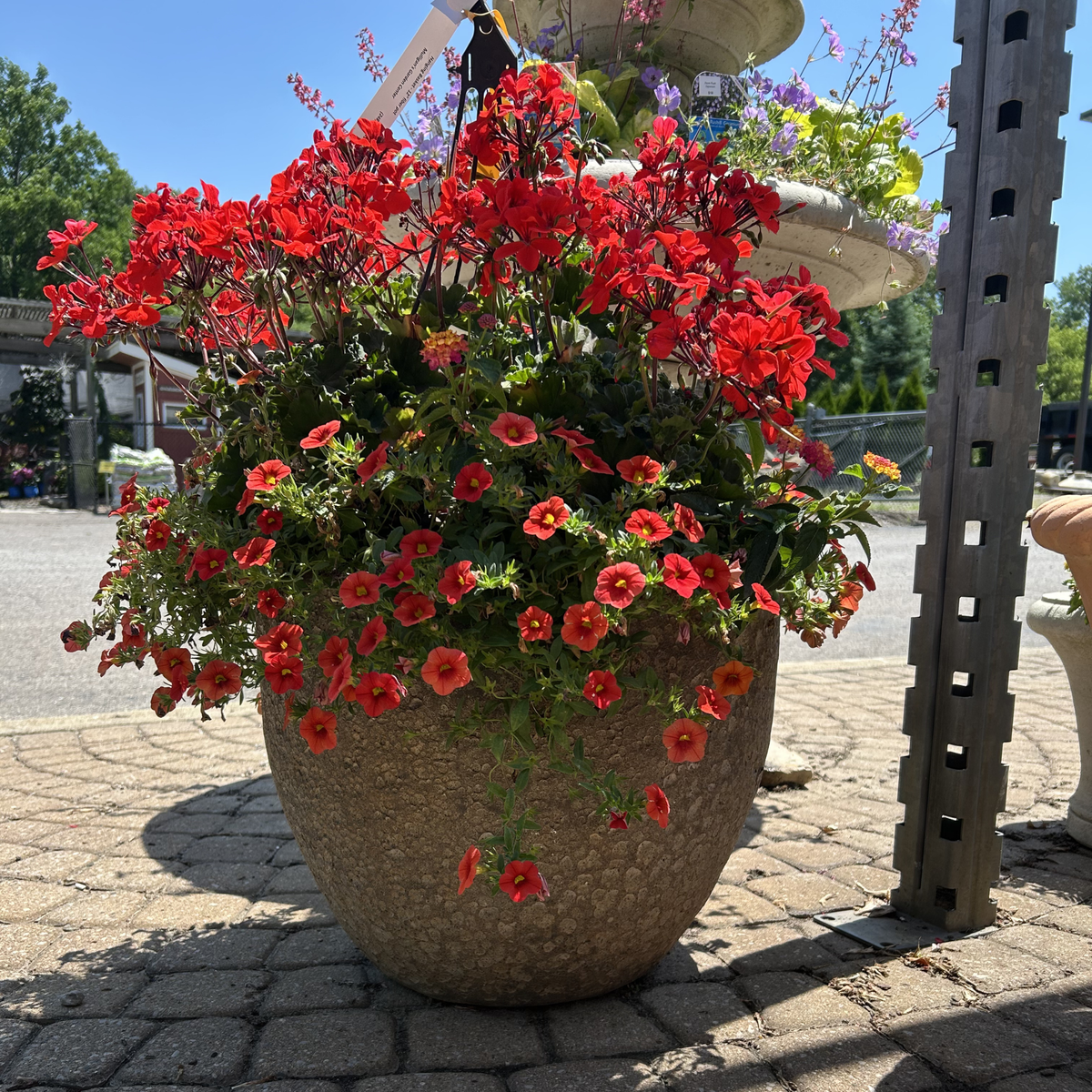 Bolivar Planter Lg