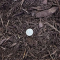 Brown Enviro Mulch - cubic yard