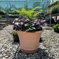 Corda Planter med