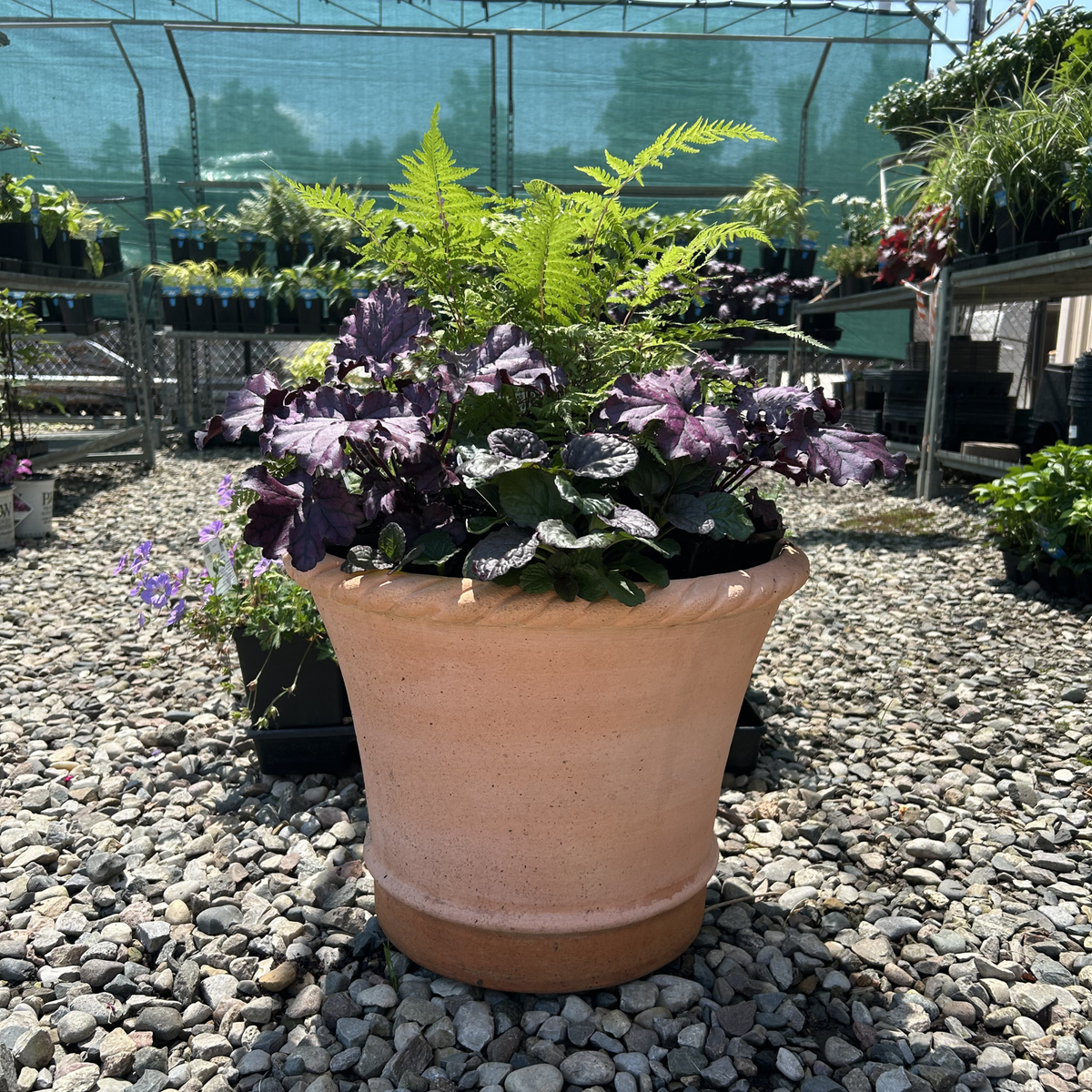 Corda Planter med