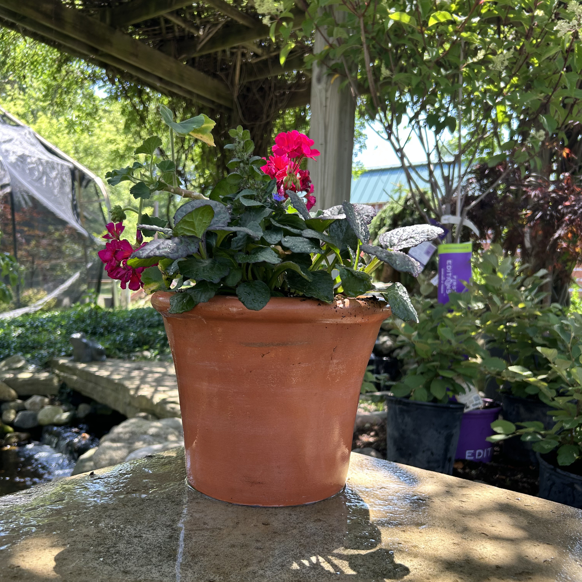 Cortona Planter small - with plantings