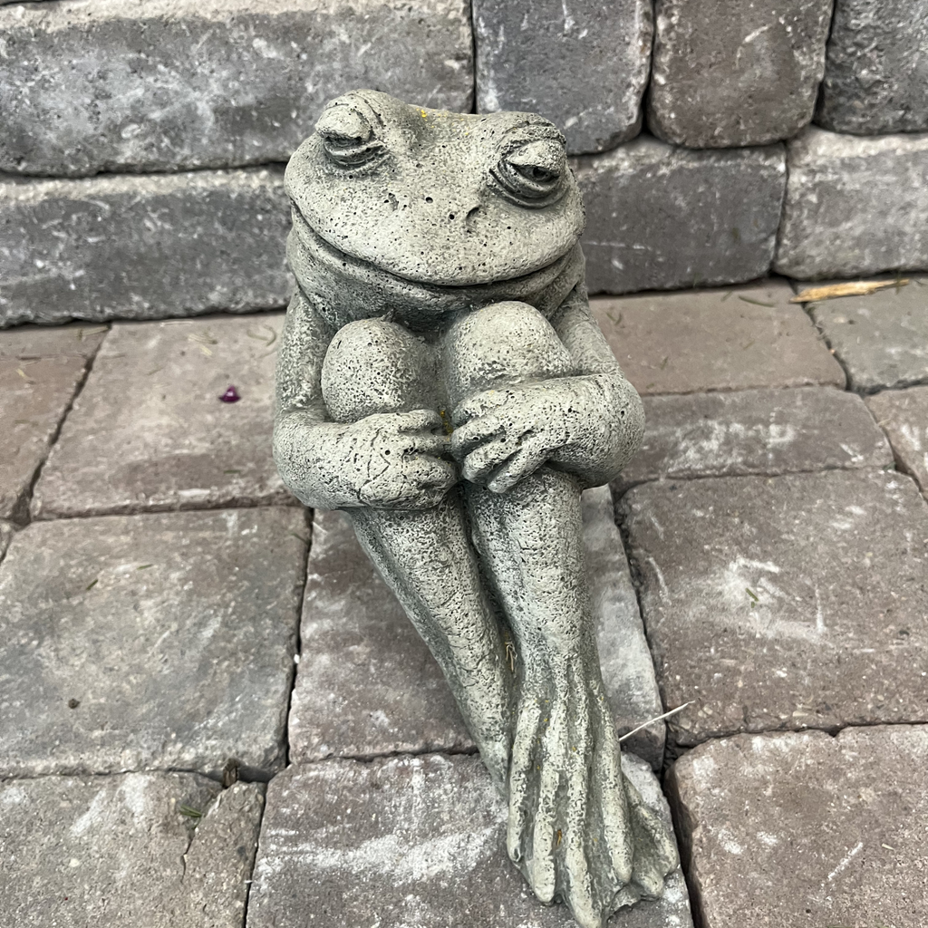 Fern Frog