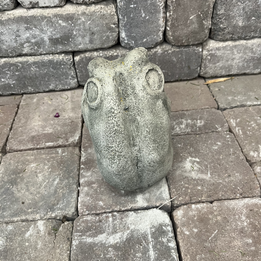 Fern Frog