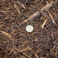 Hardwood Mulch - cubic yard