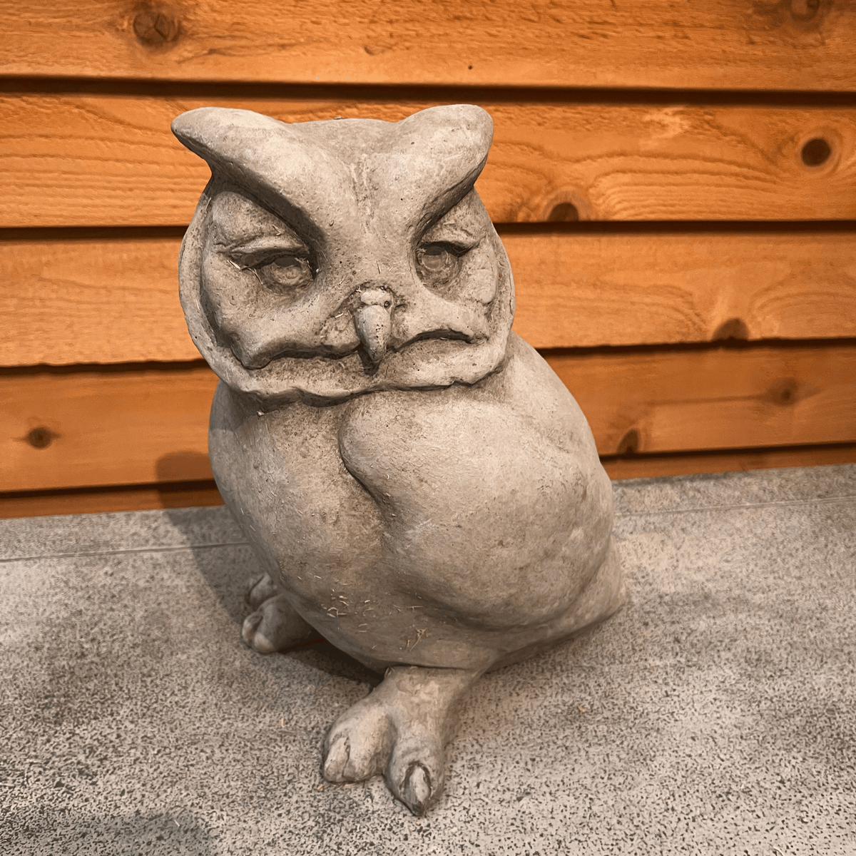 Hoot Owl