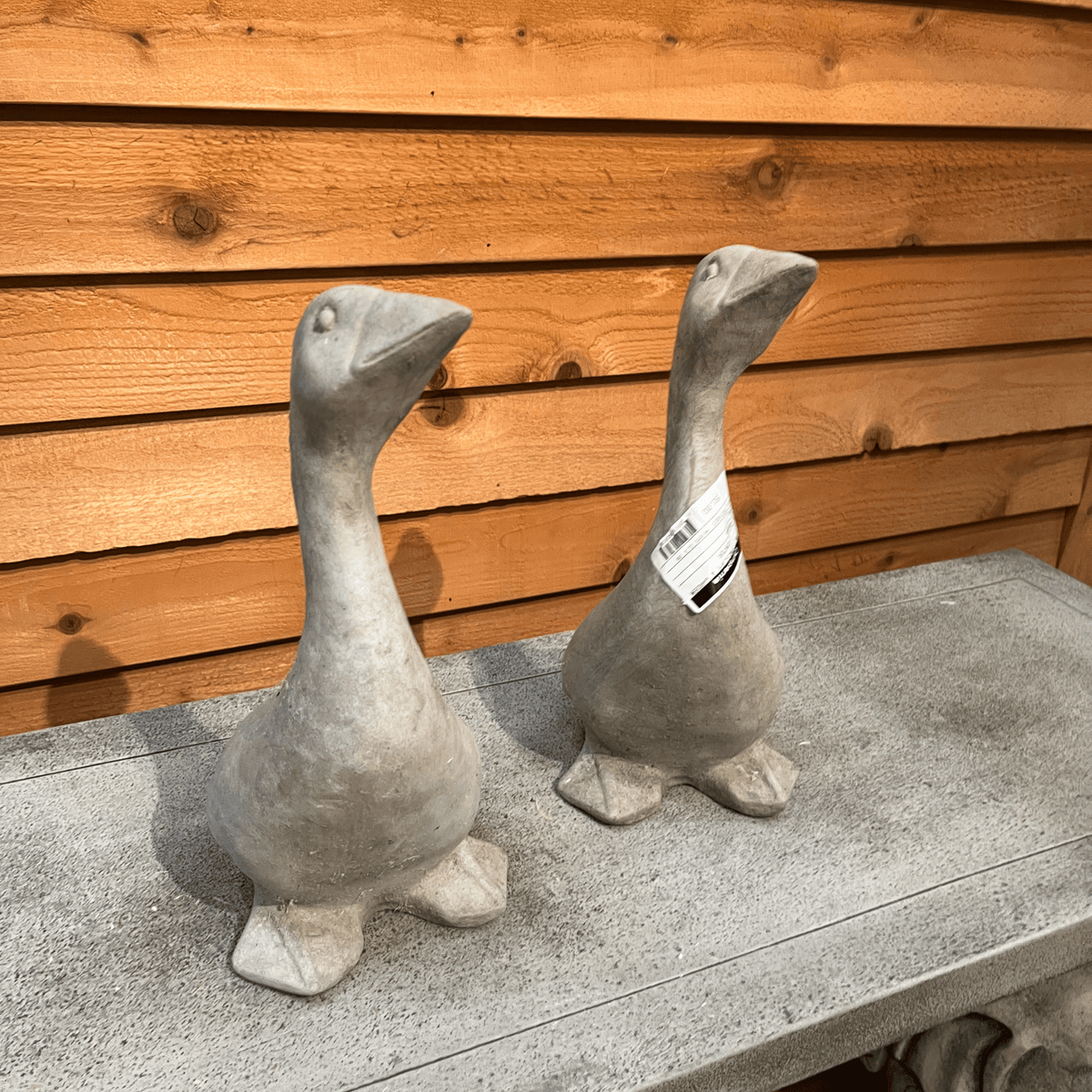 Kate's Goose
