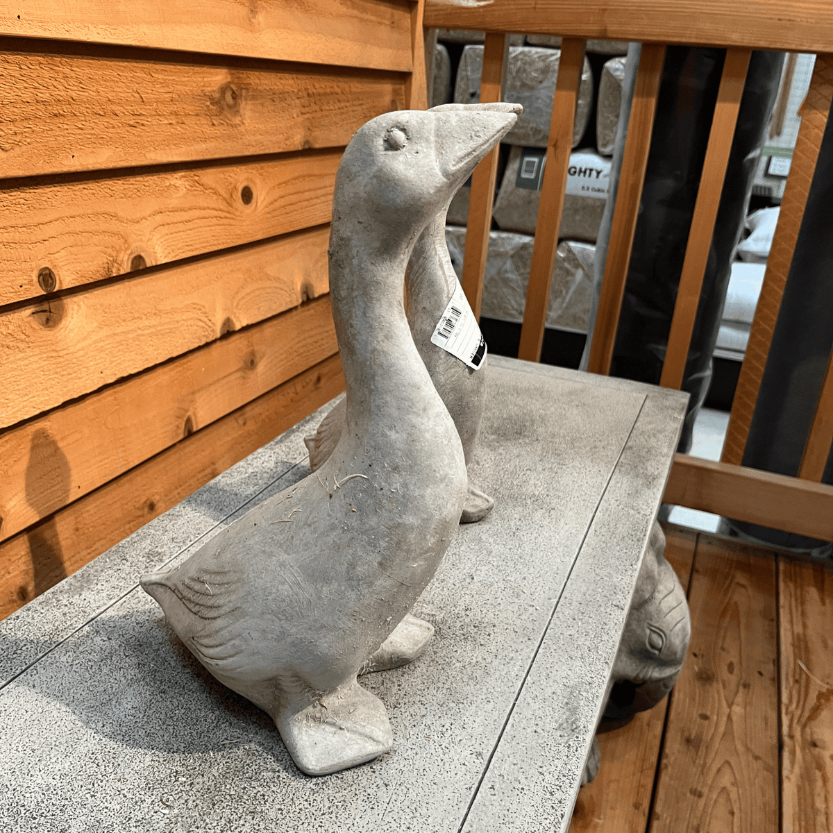 Kate's Goose