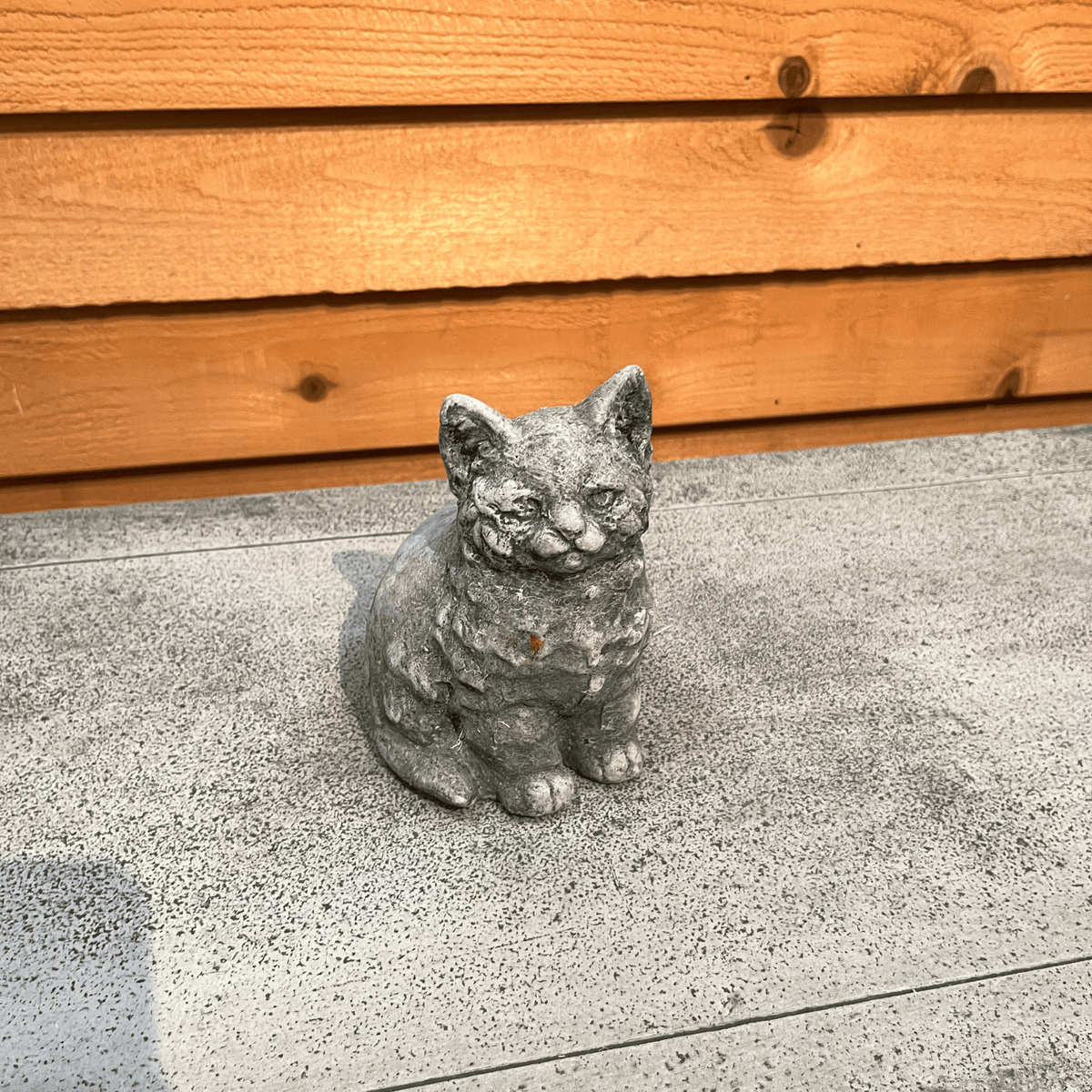 Kitty