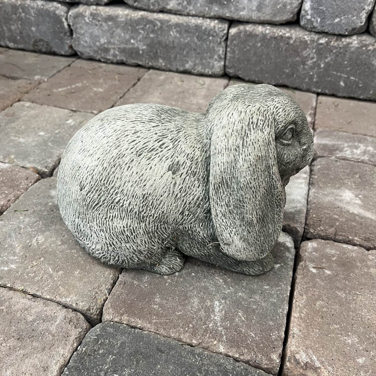 Lop Ear Bunny