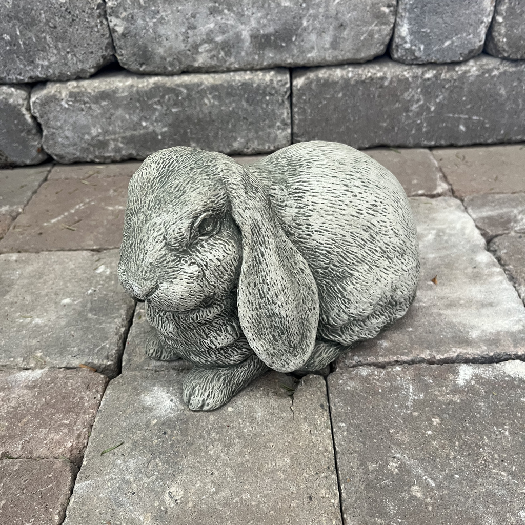 Lop Ear Bunny