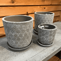 Marguerite Round Planter - Etched Grey
