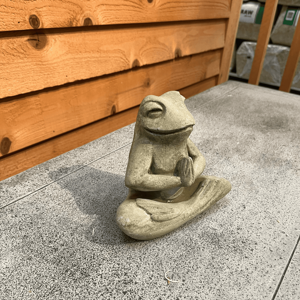Meditation Frog