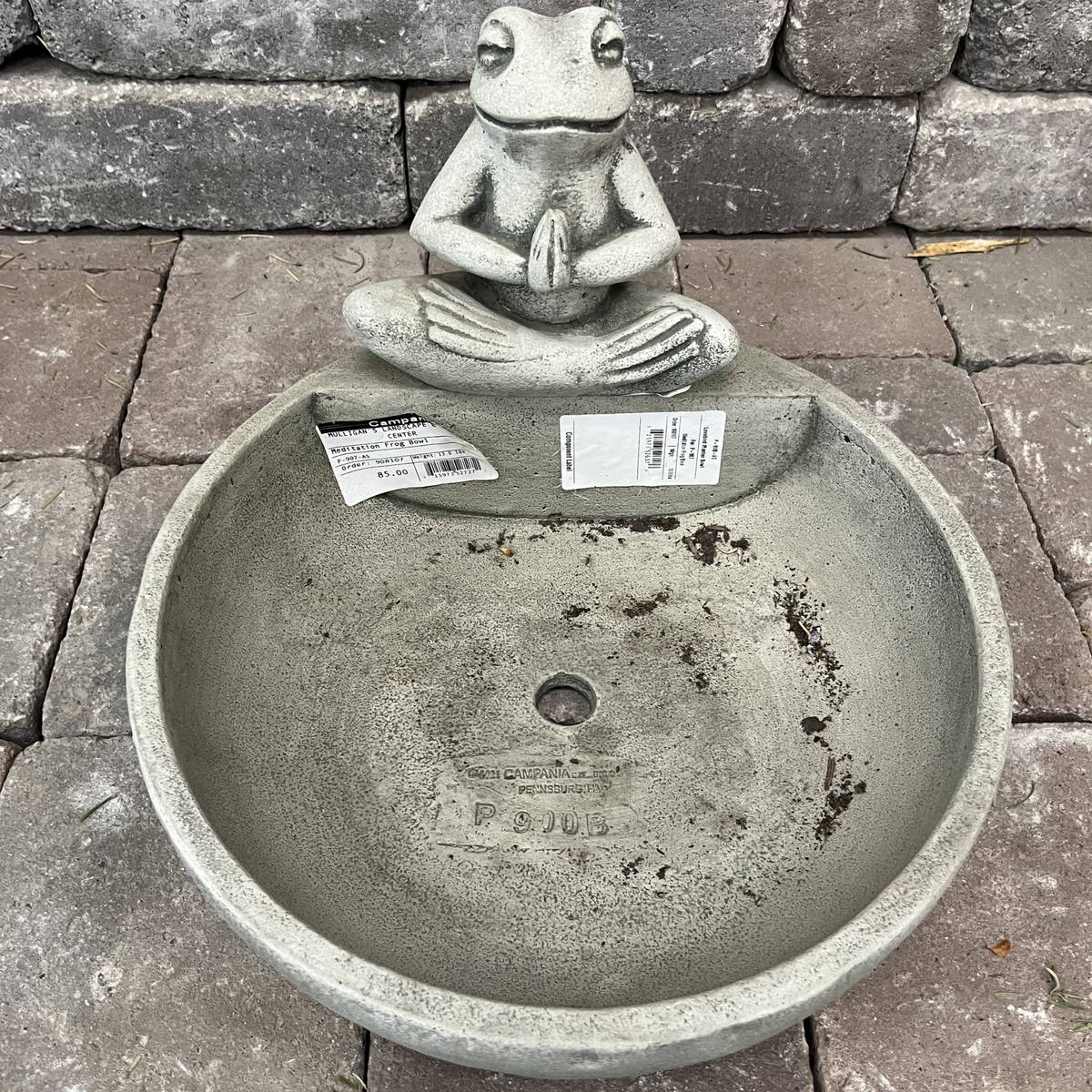 Meditation Frog Planter with Irish Moss