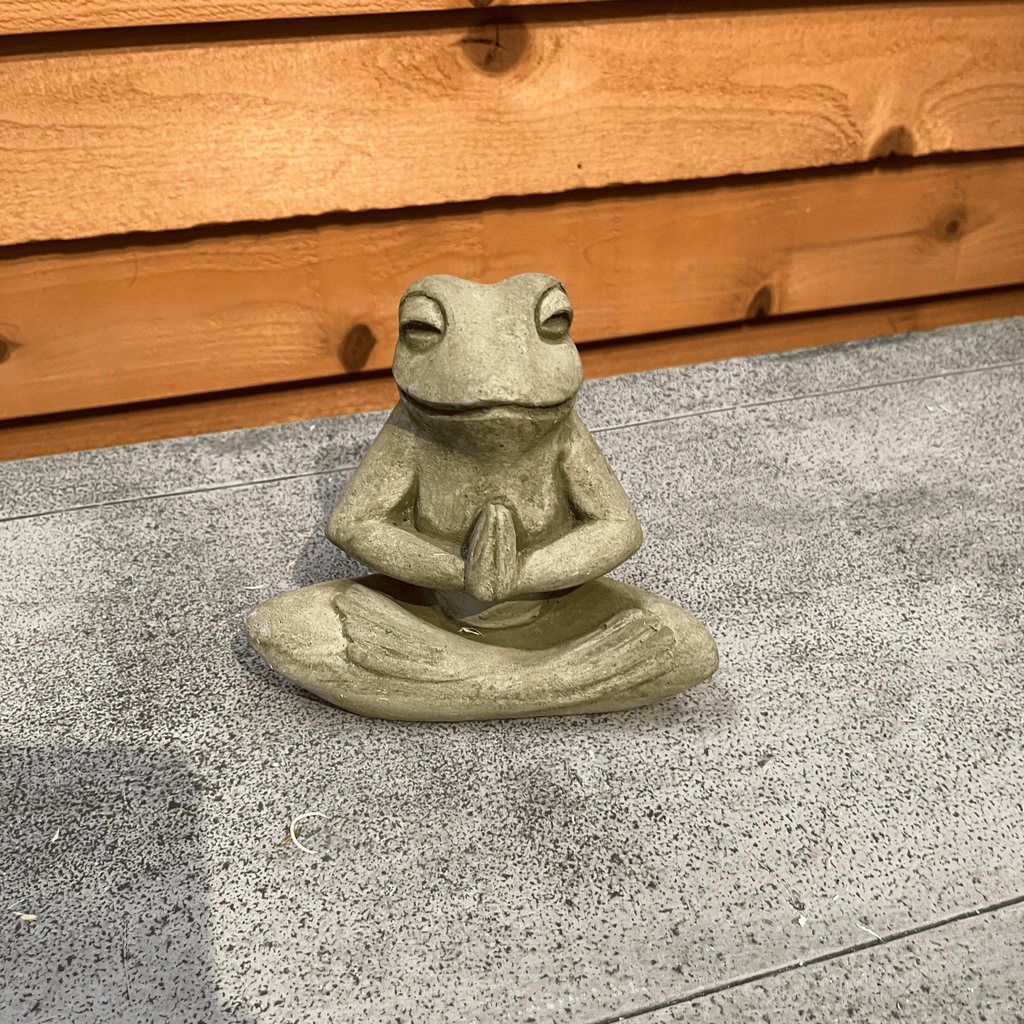 Meditation Frog