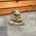Meditation Frog