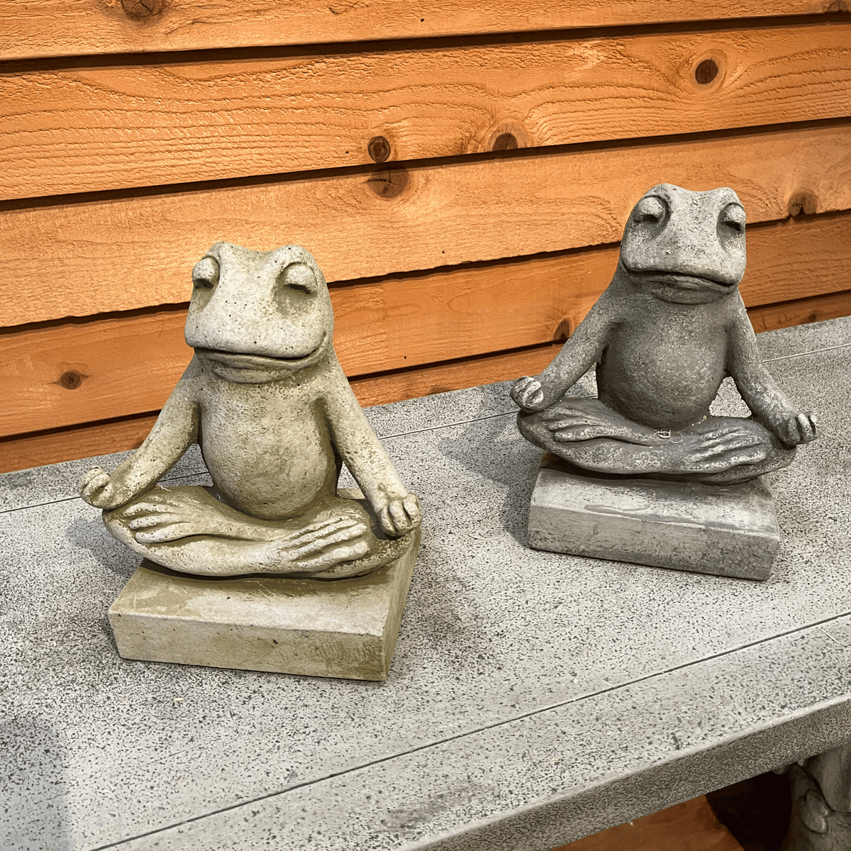 Mini Zen Frog