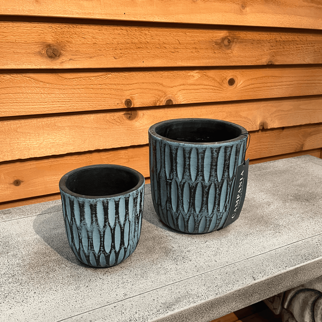 Parabola Planter - Etched Blue