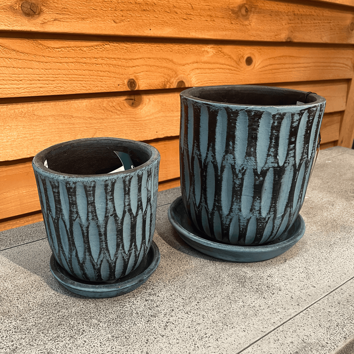 Parabola Planter - Etched Blue