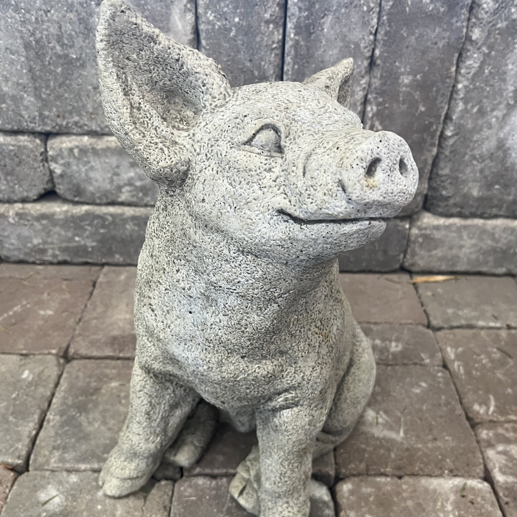 Perky Pig