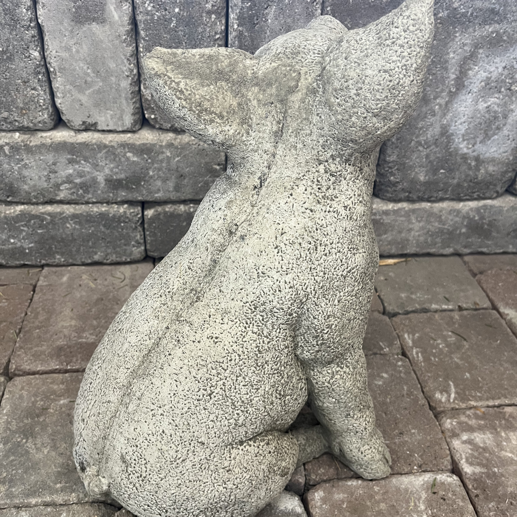 Perky Pig