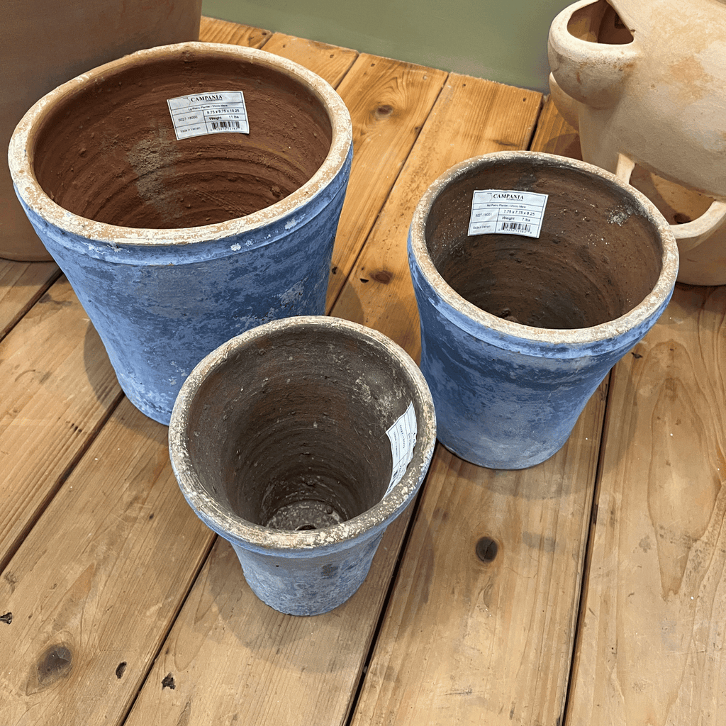 Pietro Planter - Vicolo Mare