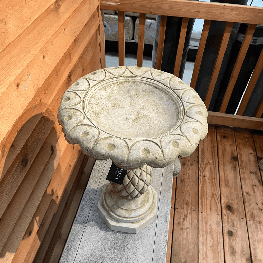 Pineapple Birdbath