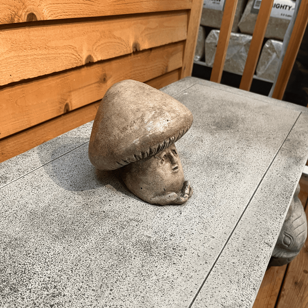 Shroom