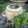 Strawberry planter, terracotta
