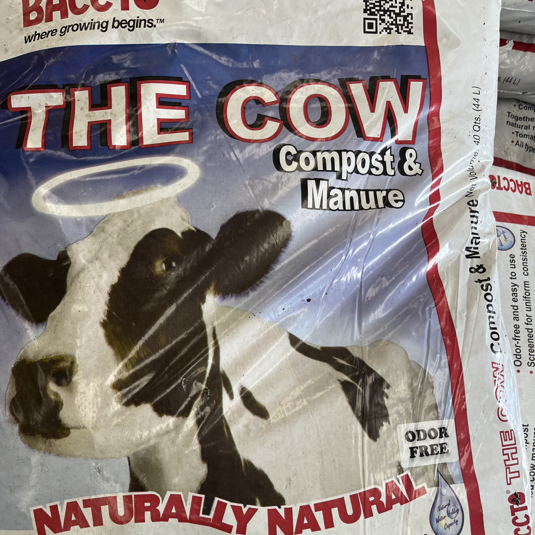 Baccto The Cow - Bagged