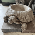 Turtle Planter