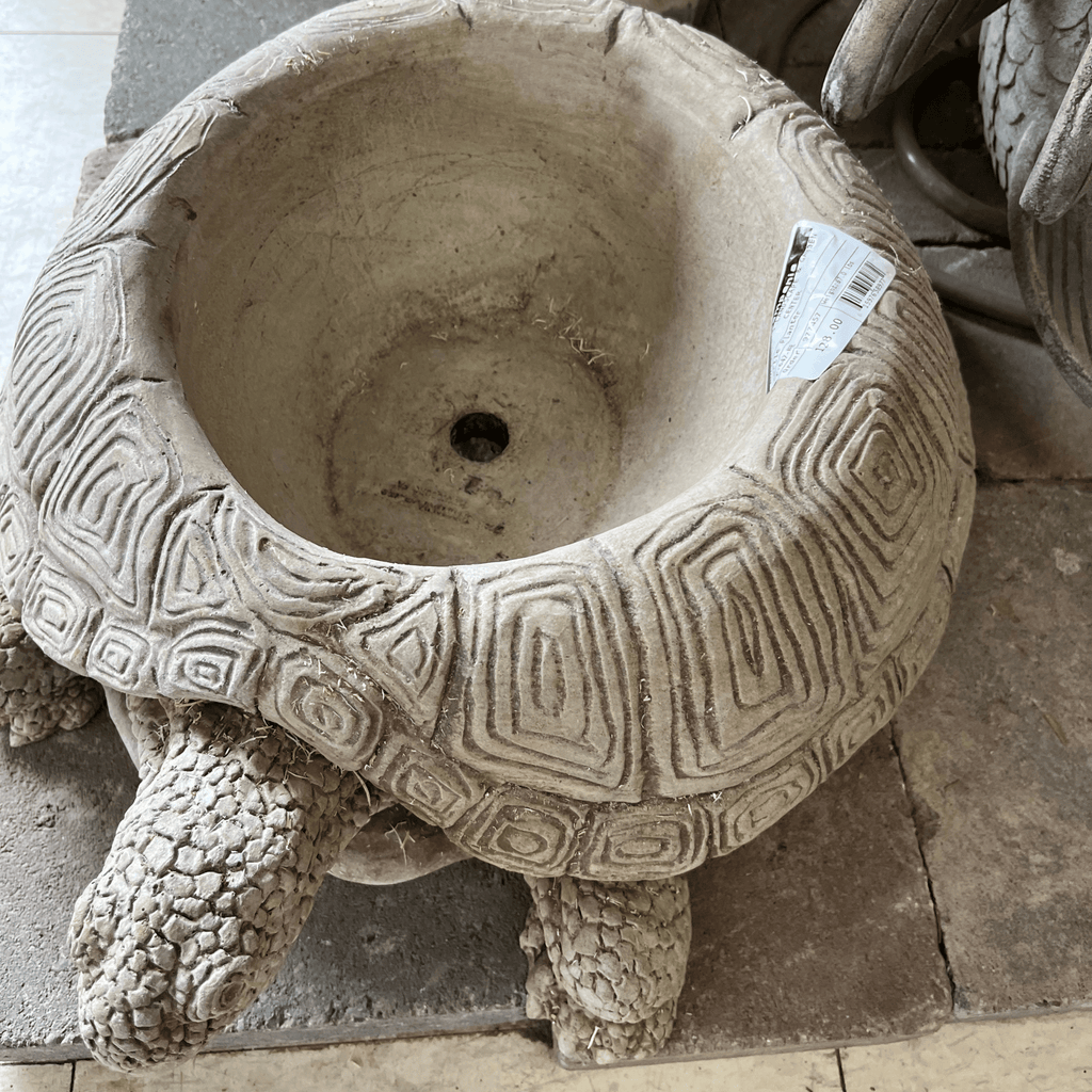 Turtle Planter