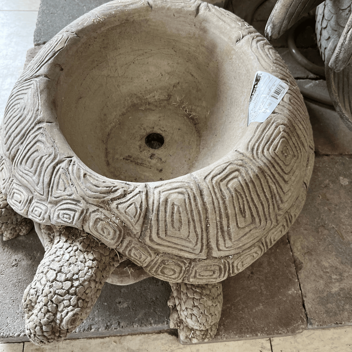 Turtle Planter