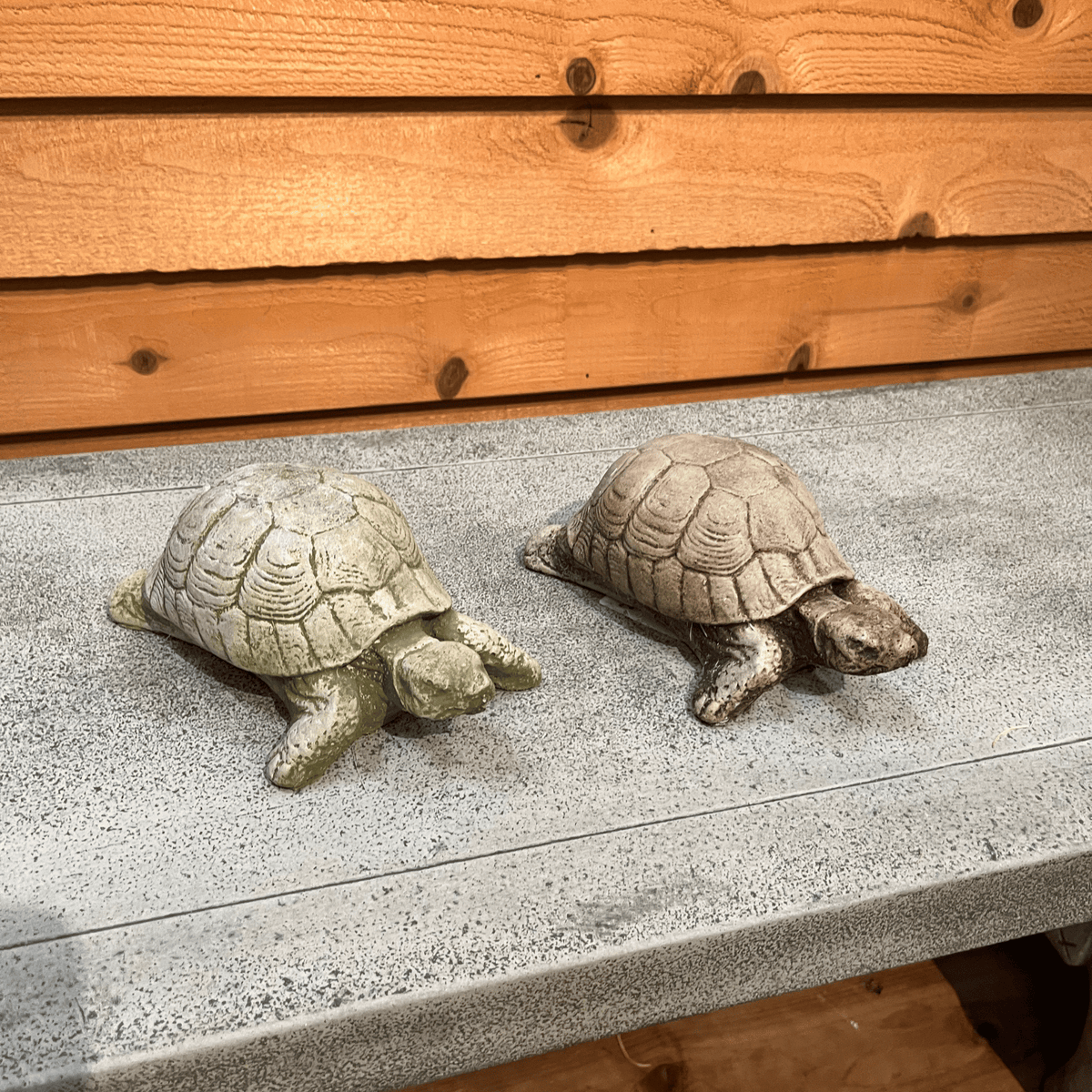 Turtle