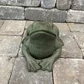 Woodland Frog