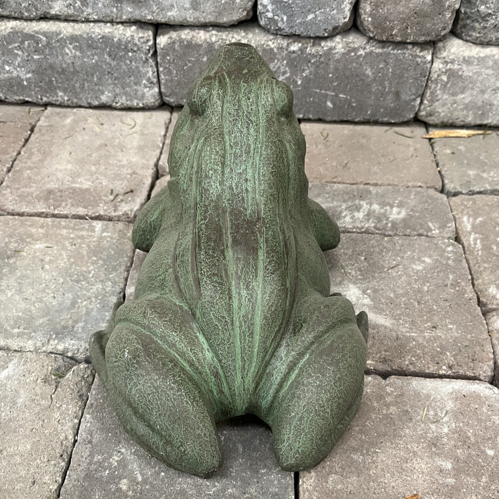 Woodland Frog