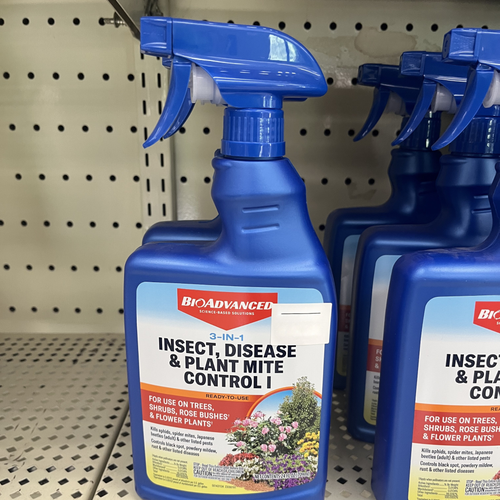 A blue spray bottle of BioAdvanced 3-in-1 Insect, Disease & Plant Mite Control displayed on a store pegboard shelf, with other identical bottles behind it.