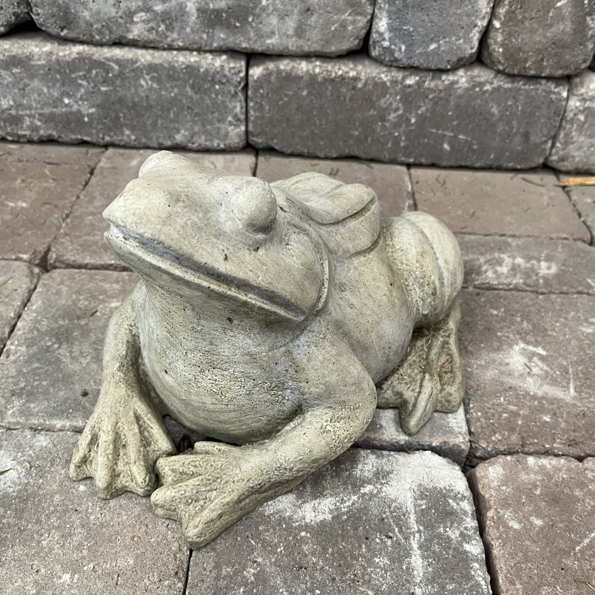 Woodland Frog